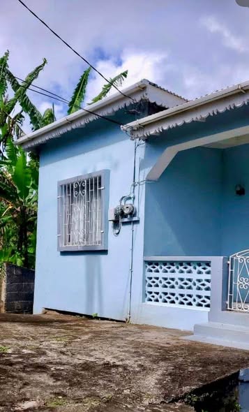 Side view of the home showing windows and decorative grillwork