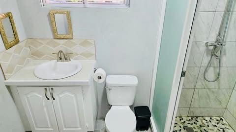 Wider bathroom view showing walk-in shower enclosure